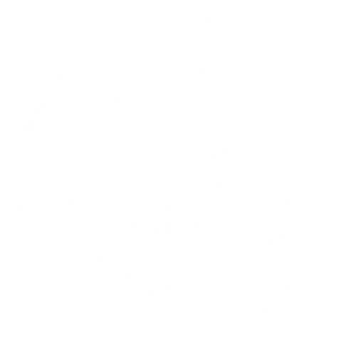 Rapid Transformational Therapist